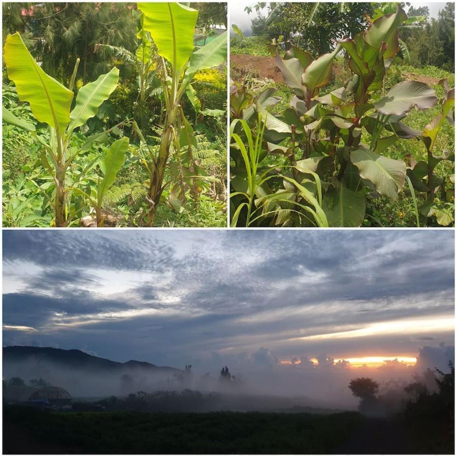 Au Coeur Des Plantations ξενώνας La Possession Εξωτερικό φωτογραφία