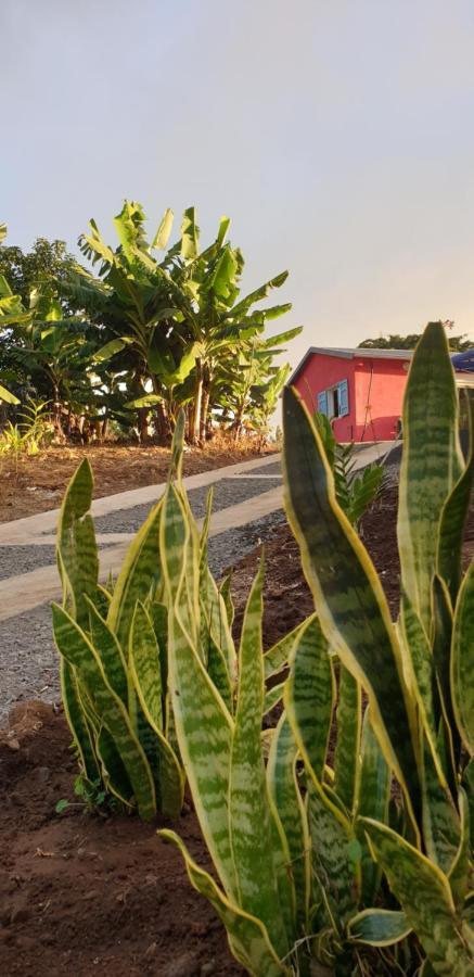 Au Coeur Des Plantations ξενώνας La Possession Εξωτερικό φωτογραφία